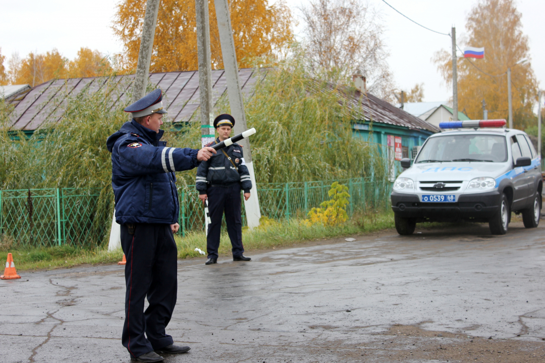 Организация дорожного движения