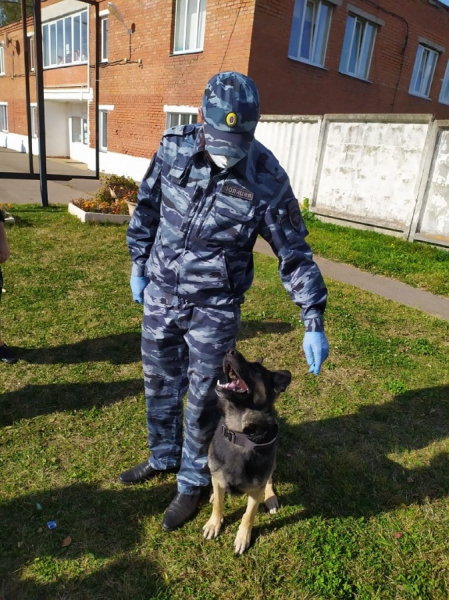 Полицейские и общественники Дмитровского городского округа провели со школьниками урок по безопасности