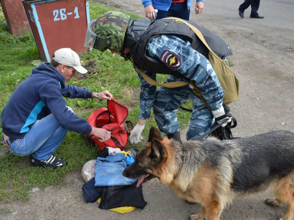 Кинолог ОМВД производит осмотр местности на предмет наличия иных взрывных устройств