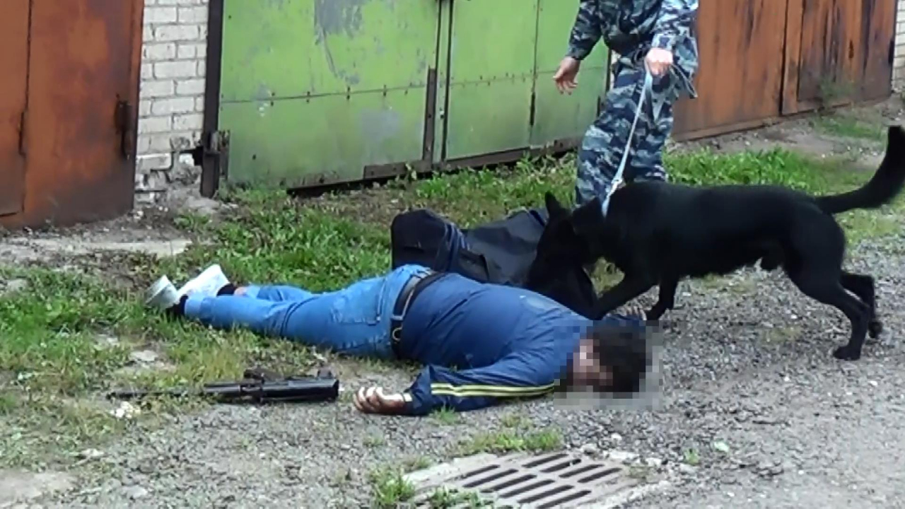 В подмосковных Химках пресечена  деятельность члена террористической организации, планировавшего совершение террористического акта 