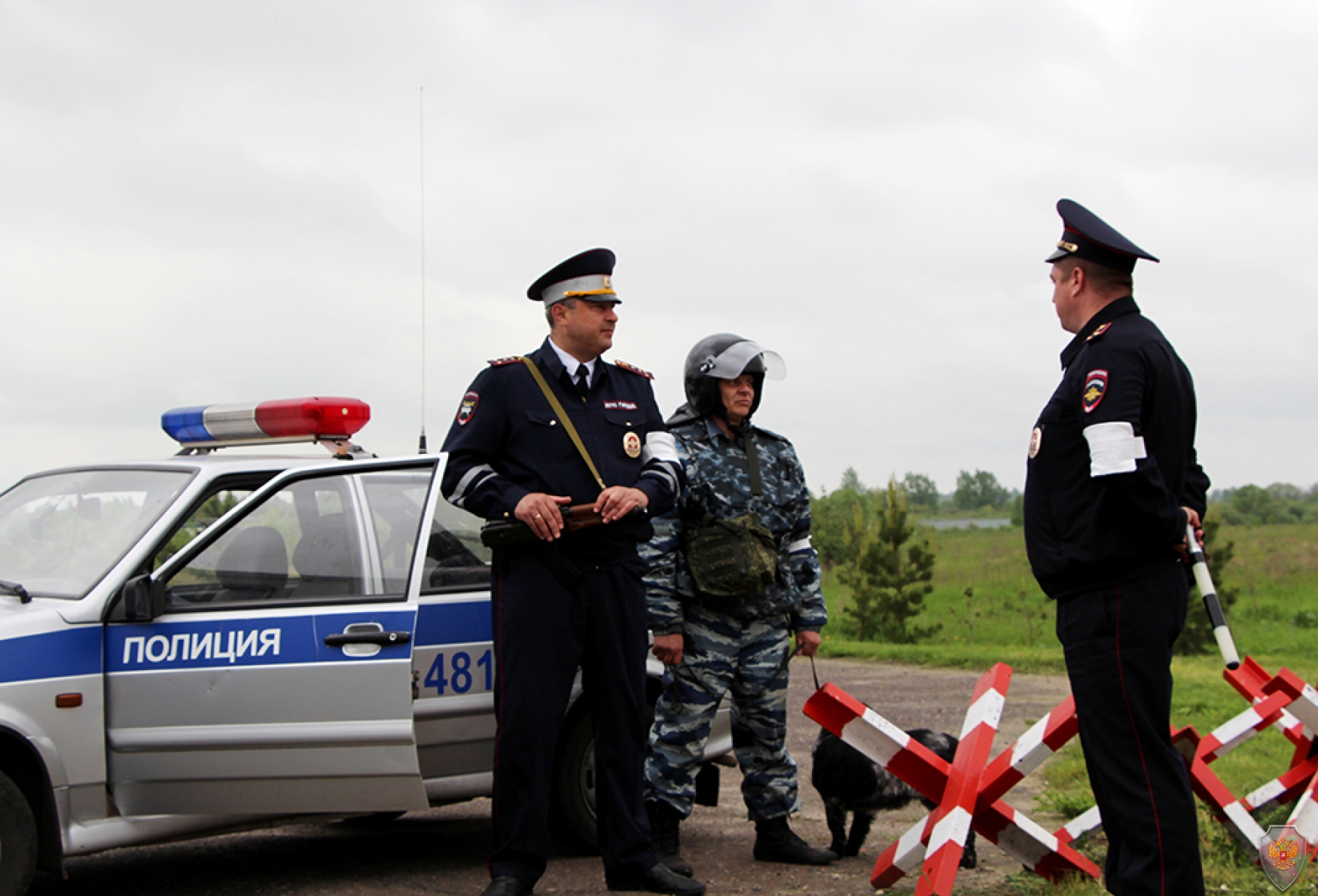 Организация дорожного движения